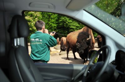 Werbeaufnahme Vet-Mobil für die Wirtschaftsgenossenschaft deutscher Tierärzte von Fotograf Daniel Möller aus Hannover
