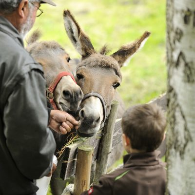 Imageaufnahmen Dörnthaler Ölmühle Pfaffroda von Fotograf Daniel Möller Hannover