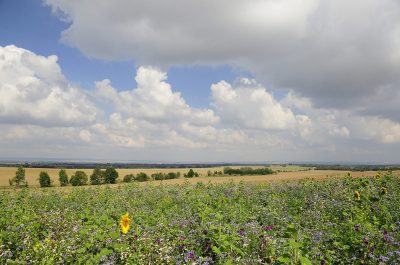 Imageaufnahme Hainichhöfe Premiumchalets Thüringen Fotograf Daniel Möller Hannover