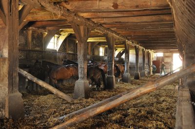 Werbeaufnahmen Serumwerk Memsen für die Wirtschaftsgenossenschaft deutscher Tierärzte Daniel Möller Fotograf Hannover